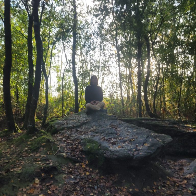meditation en foret de broceliande : sur Paimpont et sur Saint-Malo-de-Beignon